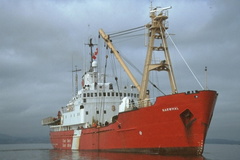 0049-ccgs narwhal-buoy tender