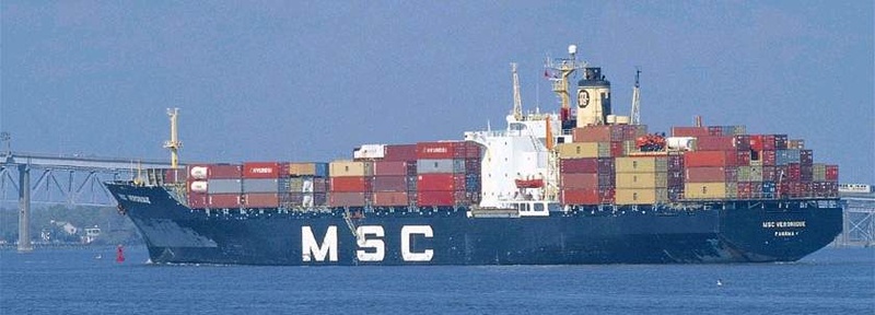 0231-msc container ship.jpg