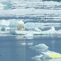 2008-July in the arctic-John M.14