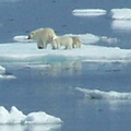 2008-July in the arctic-John M.15.jpg