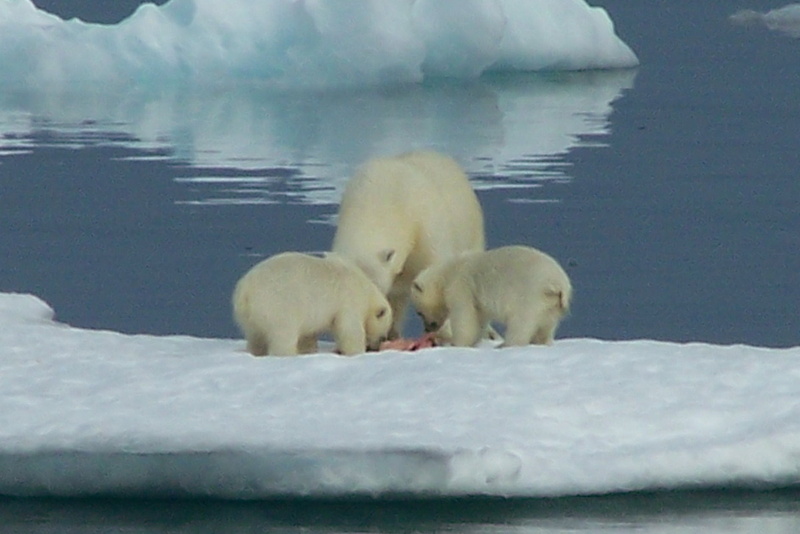 2008-July in the arctic-John M.17.jpg