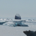 2008-July in the arctic-John M.37