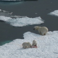 2008-July in the arctic-John M.52
