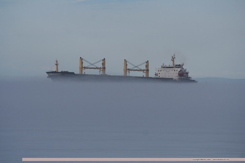 1053.2014.06-Desert Symphony in sea fog.jpg