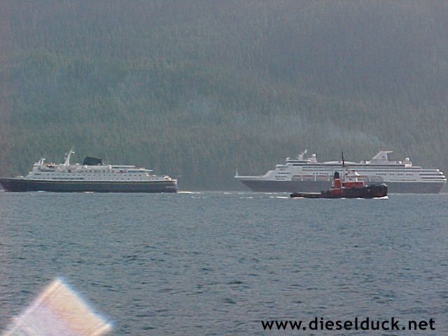 0011-busy-johnstone-strait.1