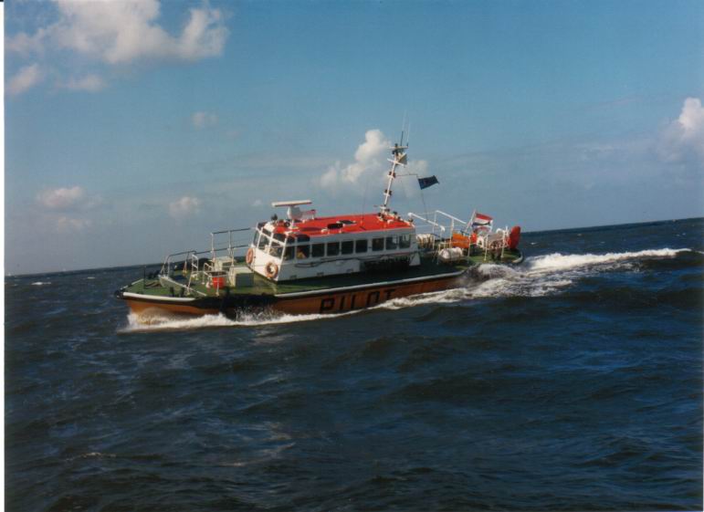 Roerdomp at sea