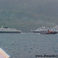 0011-busy-johnstone-strait.1