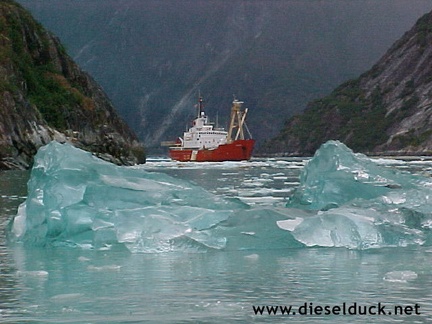 0022-ccgs narwhal-tracey arm