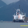 0070-mv orient noble-raw log export