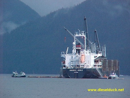 0070-mv orient noble-raw log export