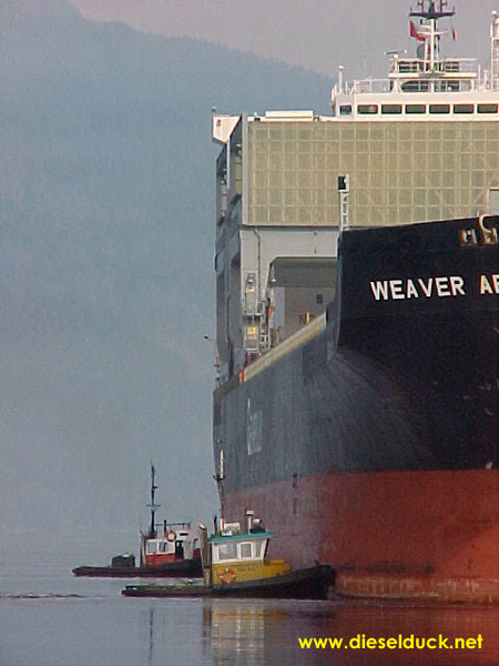 0081-mv_weaver_arrow-port_alice.04.JPG