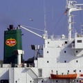0295-2005.07-valencia carrier