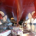 0190-MV Eurodam in drydock