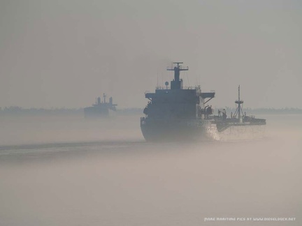 010-Mississippi BilgeRat