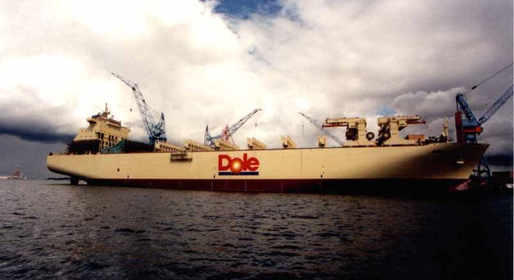 0312-mv dole chile