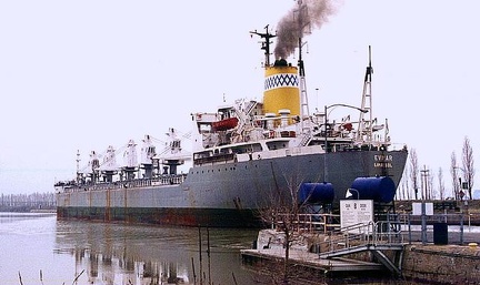 0324-mv evnar - bulker