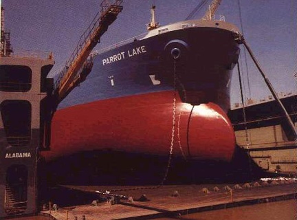0441-mv parrot lake - tanker in drydock