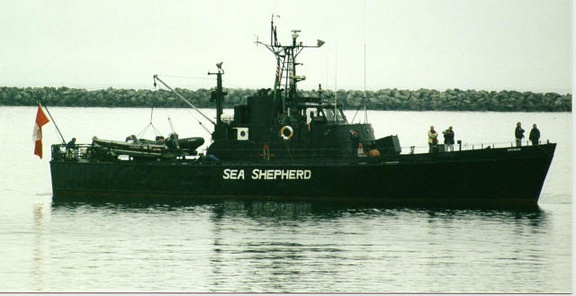 0471-mv sea sheperd