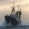 0600-mv oceanic-offshore tug