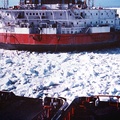 0999-Canadian Arctic 80s.4