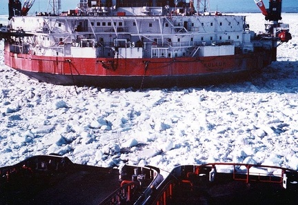 0999-Canadian Arctic 80s.4