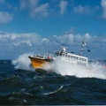 Roerdomp on a rough sea