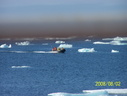 2008-July in the arctic-John M.09