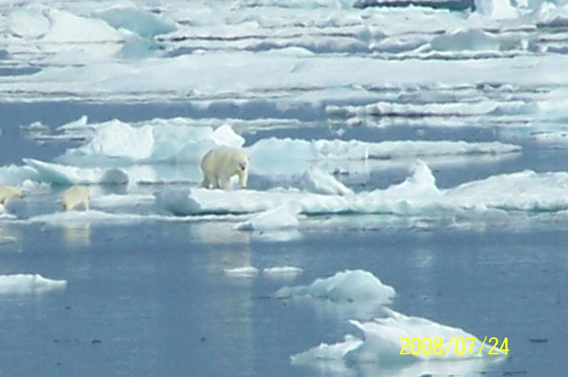 2008-July in the arctic-John M.14.jpg