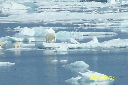 2008-July in the arctic-John M.14