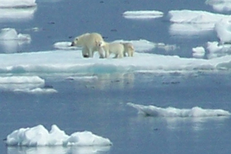 2008-July in the arctic-John M.15