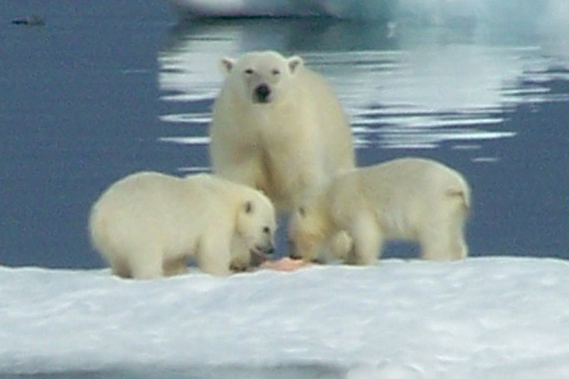 2008-July in the arctic-John M.16.jpg