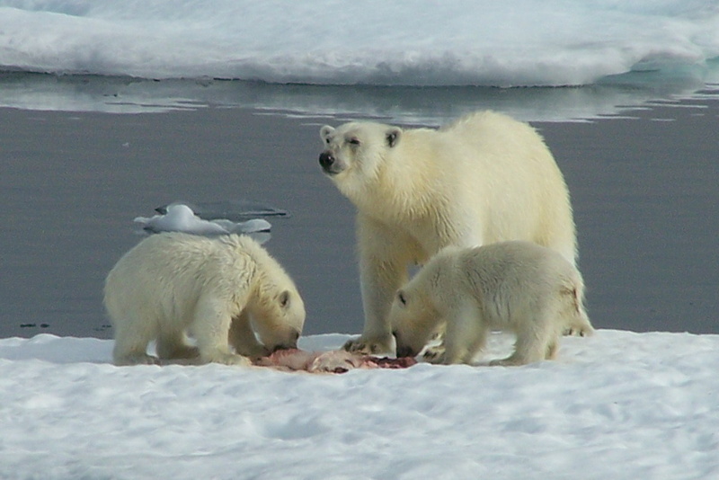 2008-July in the arctic-John M.20.jpg