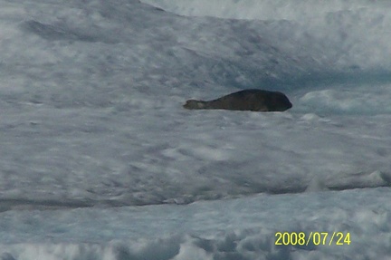 2008-July in the arctic-John M.26