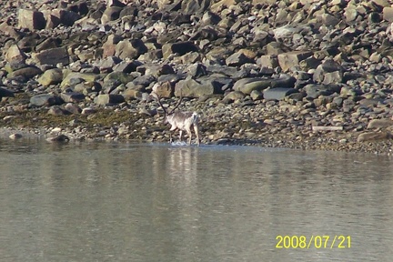 2008-July in the arctic-John M.31