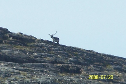 2008-July in the arctic-John M.35
