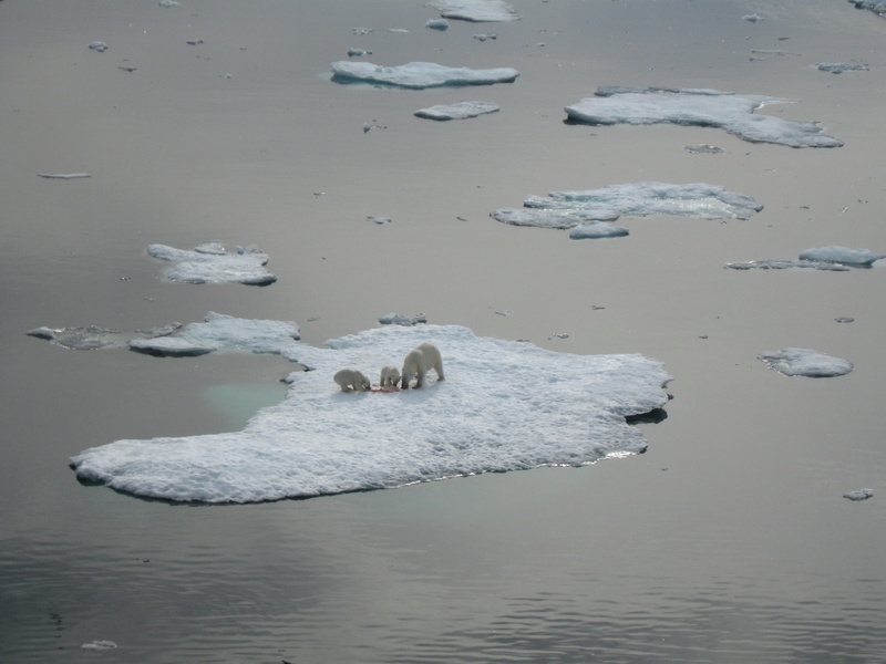 2008-July in the arctic-John M.39.jpg