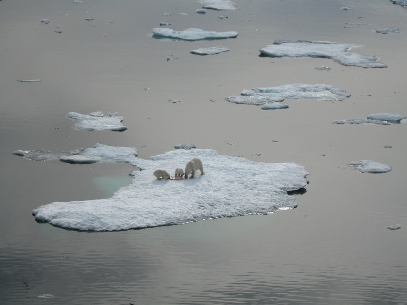 2008-July in the arctic-John M.39