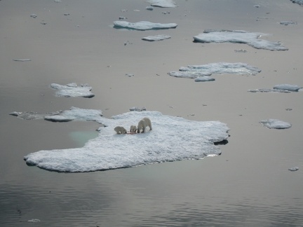 2008-July in the arctic-John M.39