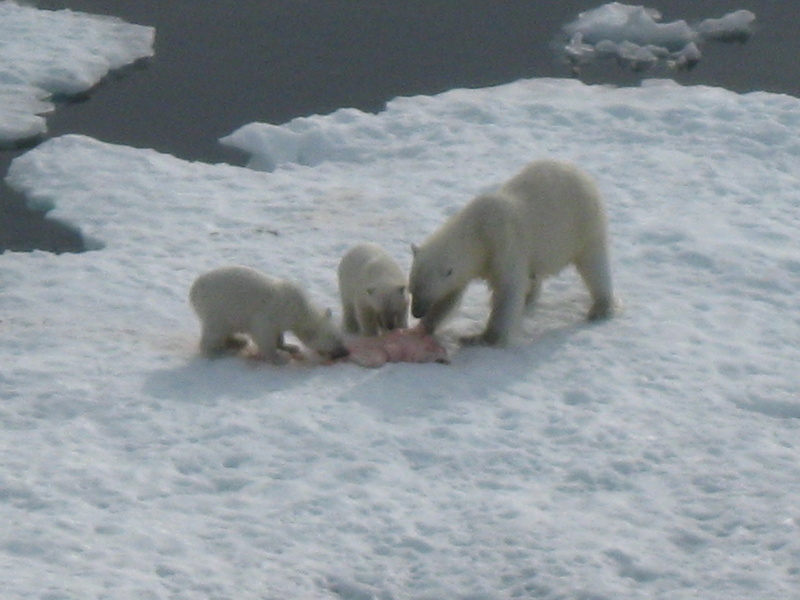 2008-July in the arctic-John M.42