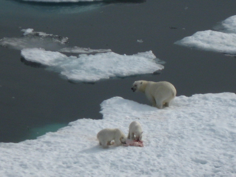 2008-July in the arctic-John M.52