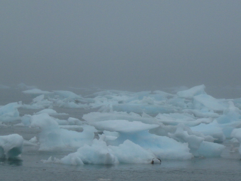 2008-July in the arctic-John M.57