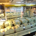 0221-MAN engines 1