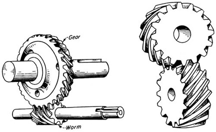 worm spur gear