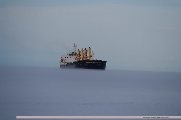 1051.2014.06-Desert Symphony in sea fog