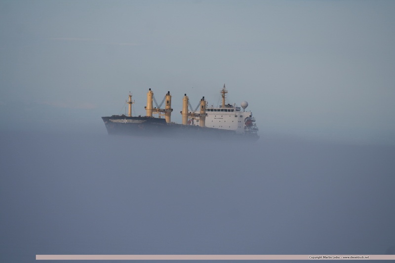 1052.2014.06-Desert Symphony in sea fog.jpg