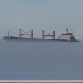 1053.2014.06-Desert Symphony in sea fog.jpg