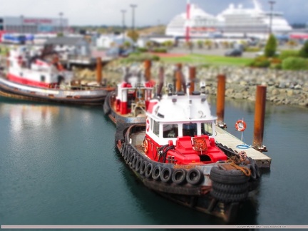 1224.2015.09-Ogden Pt Boats