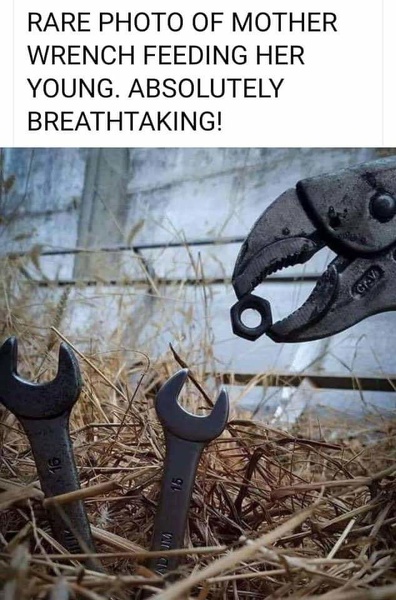 Baby wrenches.jpg