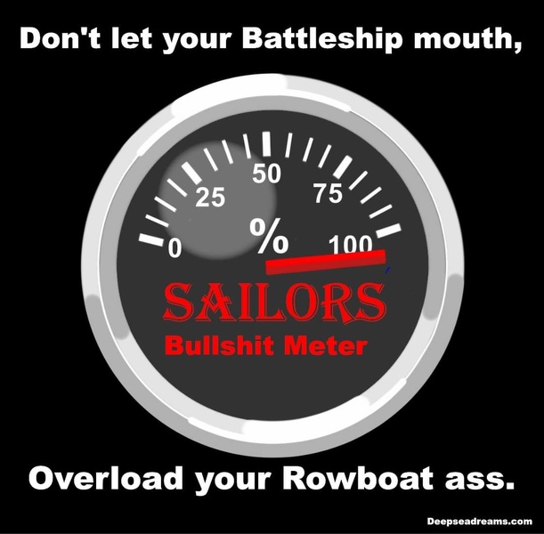 BS Meter.jpg