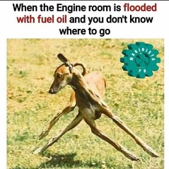 ER flooded